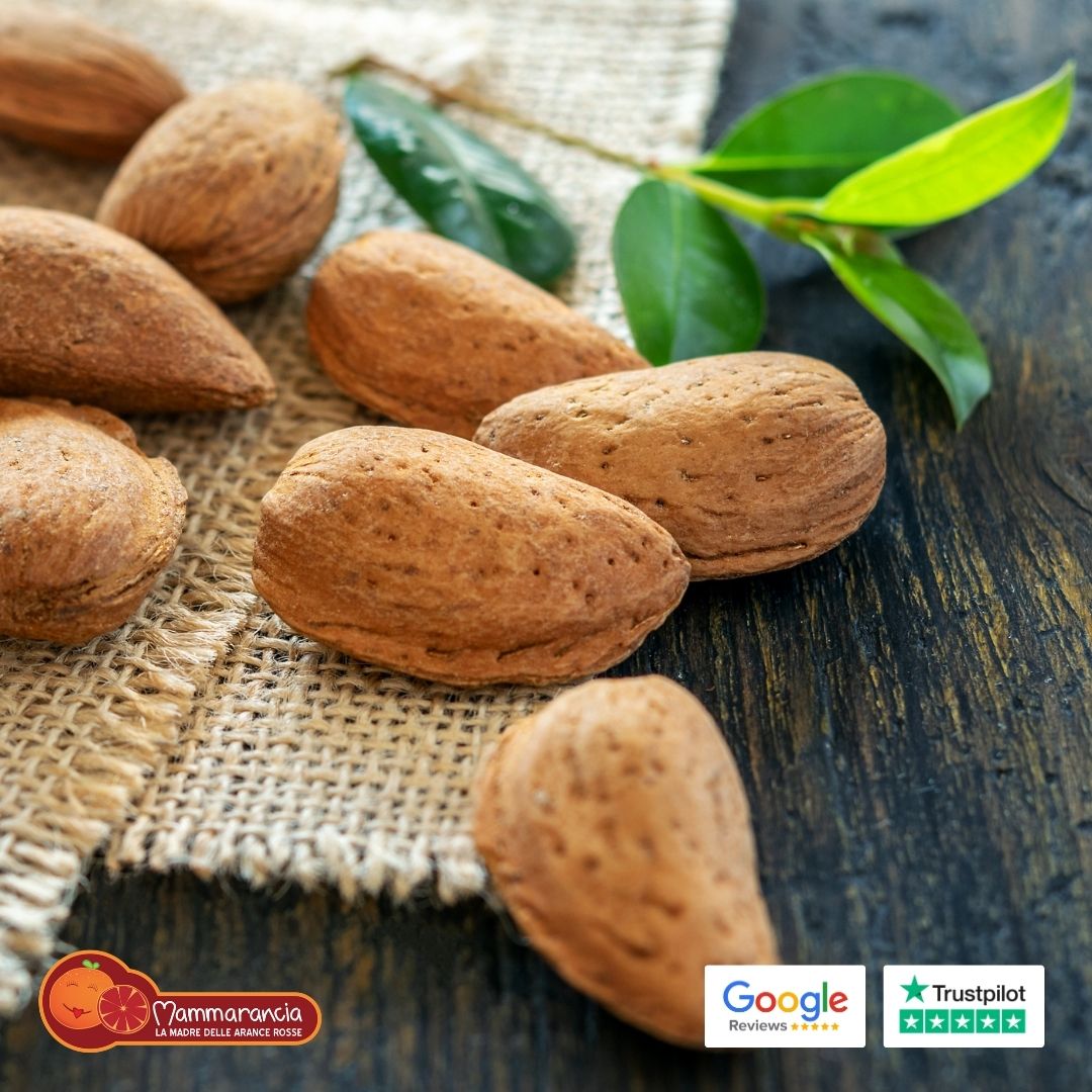 Organic Sicilian Lemon Almonds/International Harvest/Dried Fruits, Nuts &  Seeds – igourmet