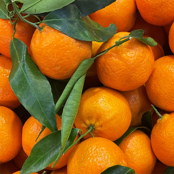 Mandarini senza semi