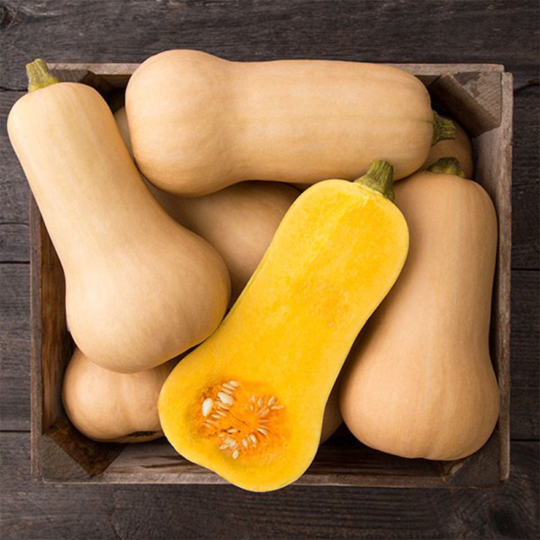 Bio-Butternut-Kürbis