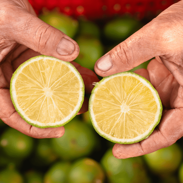 Bergamotto di Sicilia Bio