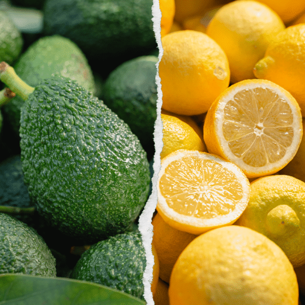 Organic Guacamole mixed fruit Box