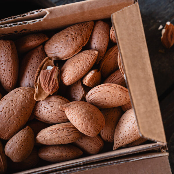 Organic Whole Sicilian Almonds in their Shell Reward