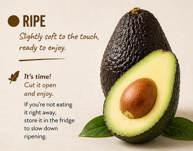 Avocado Ripe Now Avocado ripening: how to know when it is ready to eat - Mammarancia